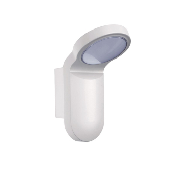 ESY LED-Außenleuchte OL 100   EL10710704 