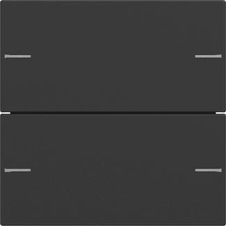 GIRA 5752005 Wippenset 2fach Tastsensor4 