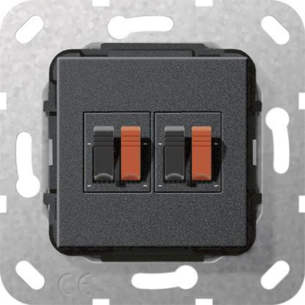 GIRA 569310 Lautsprecheranschluss 2fach 