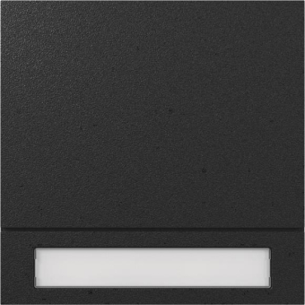 GIRA 5531925 Ruftastenmodul 1fach 