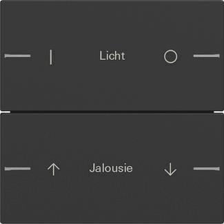GIRA 5762005 Wippenset 2fach indiv. 