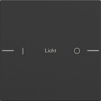 GIRA 5761005 Wippenset 1fach indiv. 