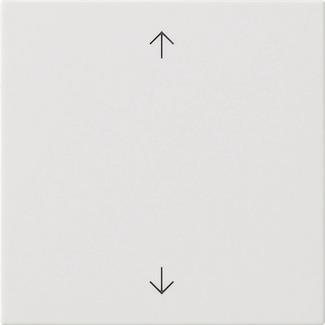 GIRA 538903 Wippe 1fach Pfeile 