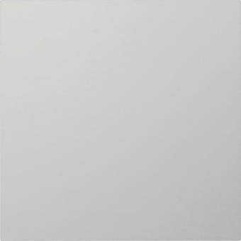 GIRA 5554926 Frontplatte Info-/ 