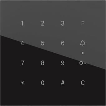 GIRA 5550000 System 106 Keyless 