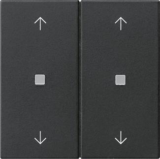 GIRA 5386005 Wippe 2fach Pfeile KF 