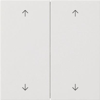 GIRA 5387112 Wippe 2fach Pfeile 