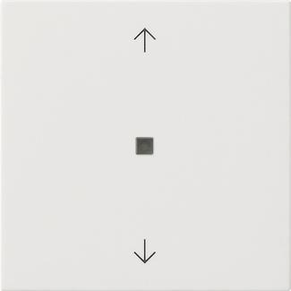 GIRA 538203 S3000 Bedienaufsatz BT 