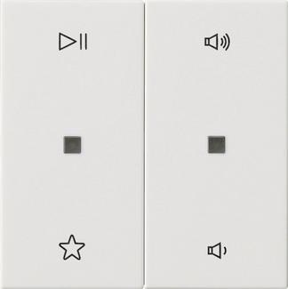 GIRA 538403 Wippe 2fach Audiosteuerung 