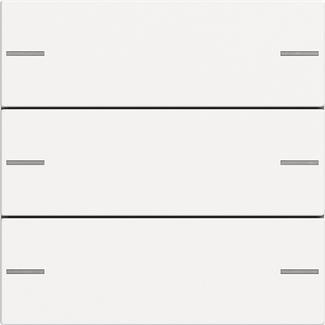 GIRA 575327 Wippenset 3fach Tastsensor4 