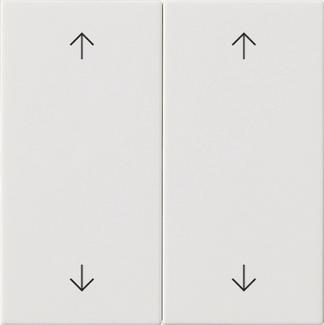 GIRA 538703 Wippe 2fach Pfeile 