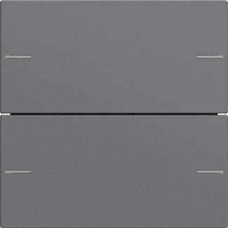 GIRA 575228 Wippenset 2fach Tastsensor4 