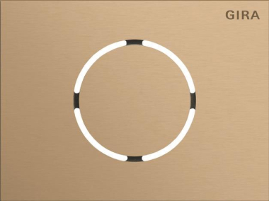 GIRA 5579921 Frontplatte Türstations- 