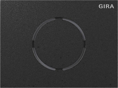 GIRA 5579925 Frontplatte Türstations- 