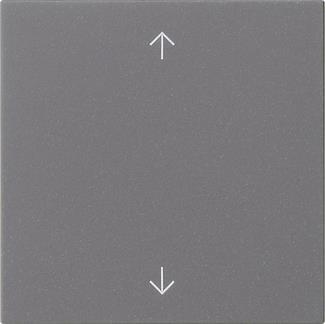 GIRA 538928 Wippe 1fach Pfeile 