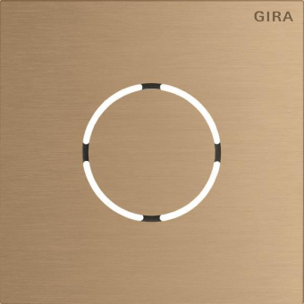 GIRA 5578921 Frontplatte Sprachmodul 