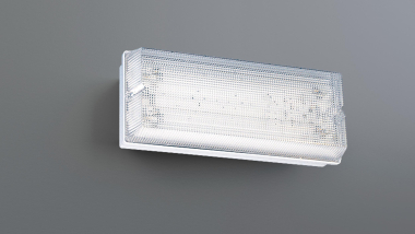 RP SI-Leuchte Einzelb.Wand   PFW411WL-TT 