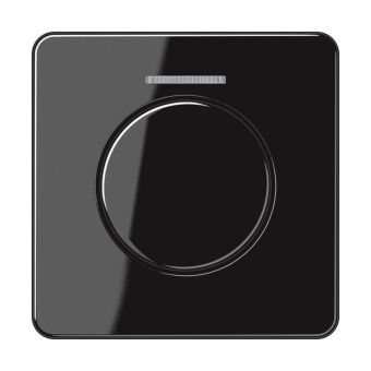 Jung Abdeckung Lichtleiter   CD1540KO5SW 