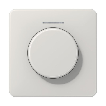 Jung Abdeckung Lichtleiter   CD1540KO5LG 