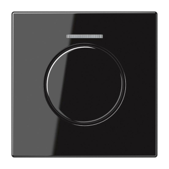 Jung Abdeckung Lichtleiter   LS1940KO5SW 