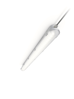 PHIL CoreLine FR-Leuchte IP65   50221599 