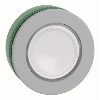 Schneider Drucktaster, Front,  ZB5FA18C0 