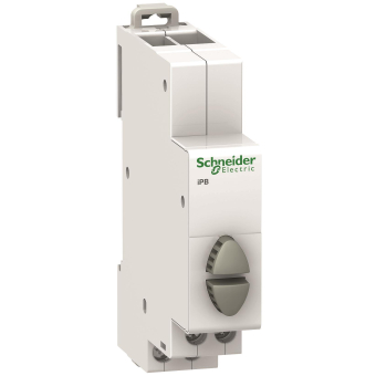 Schneider Doppel-Drucktaster    A9E18035 