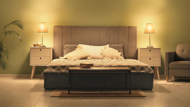 Philips 220-240V, 470, 2700 MAS VLE 