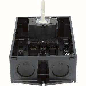 EATON P1-25/I2/SVB-SW             207294 