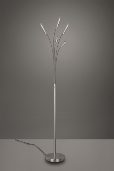 Trio LED-Stehleuchte REED, 5x  R41031507 