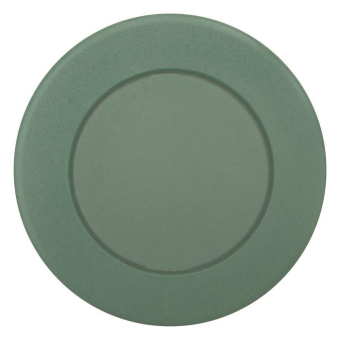 EATON M22S-DRP-G Pilzdrucktaste   216748 