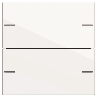 GIRA 575203 Wippenset 2fach Tastsensor4 