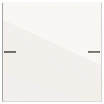 GIRA 575103 Wippenset 1fach Tastsensor4 