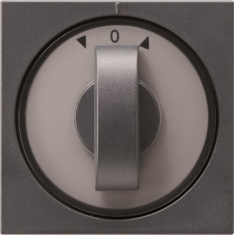 GIRA 066628 Abdeckung Knebel Zeitsch.+ 