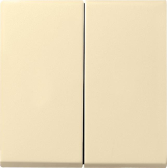 GIRA 029501 Wippe 2fach System 55 