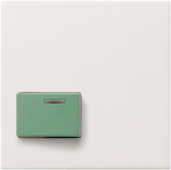 GIRA 024603 Abdeckung Ackermann 73642C 