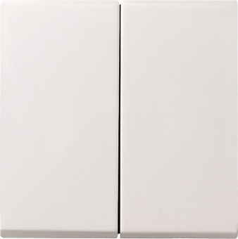 GIRA 029527 Wippe 2fach System 55 