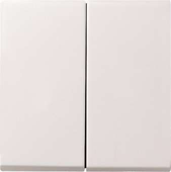 GIRA 029503 Wippe 2fach System 55 