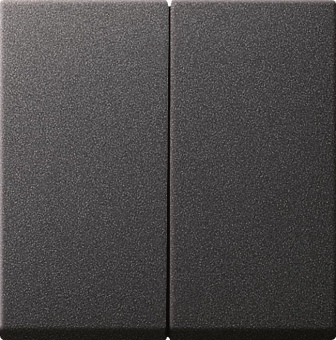 GIRA 029528 Wippe 2fach System 55 