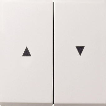 GIRA 0294112 Wippe 2fach Pfeil 