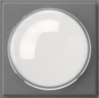 GIRA 141567 Abdeckung Farbkamera TX_44 