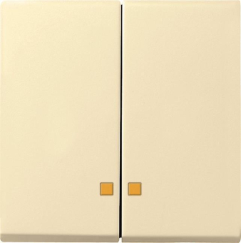 GIRA 063101 Wippe 2fach Kontrollfenster 