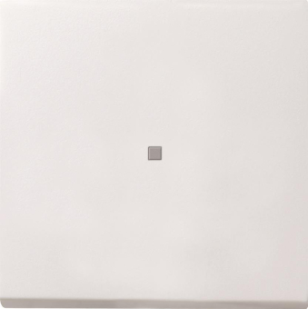 GIRA 0290112 Wippe Kontrollfenster 