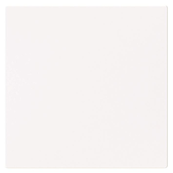 BJ Zentralscheibe m.Klappdeckel 1746-44G 