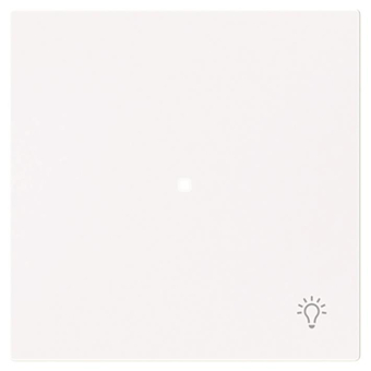 BJ Wippe 1-fach m.Symbol     6231-10-44G 