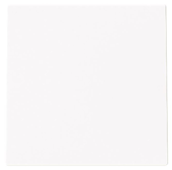 BJ Blindzentralscheibe          1749-44G 