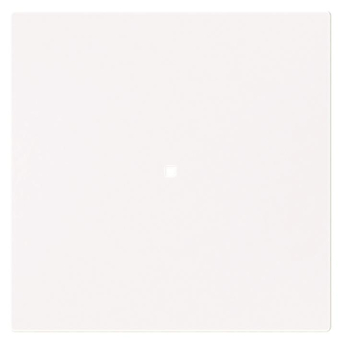 BJ Wippe 1-fach neutral      6230-10-44G 