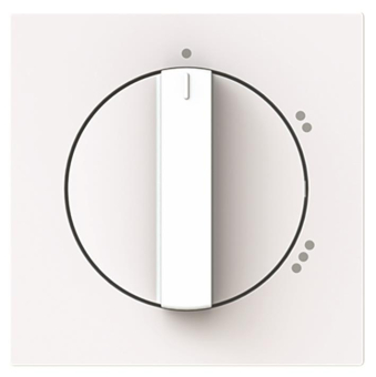 BJ Zentralscheibe         2542 DR/02-44G 