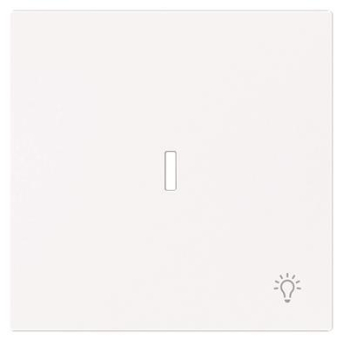 BJ Wippe m.Symbol "Licht" m. 1789 LI-44G 