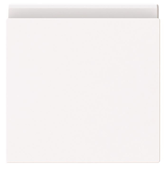 BJ Zwischenring              2518-WD-44G 